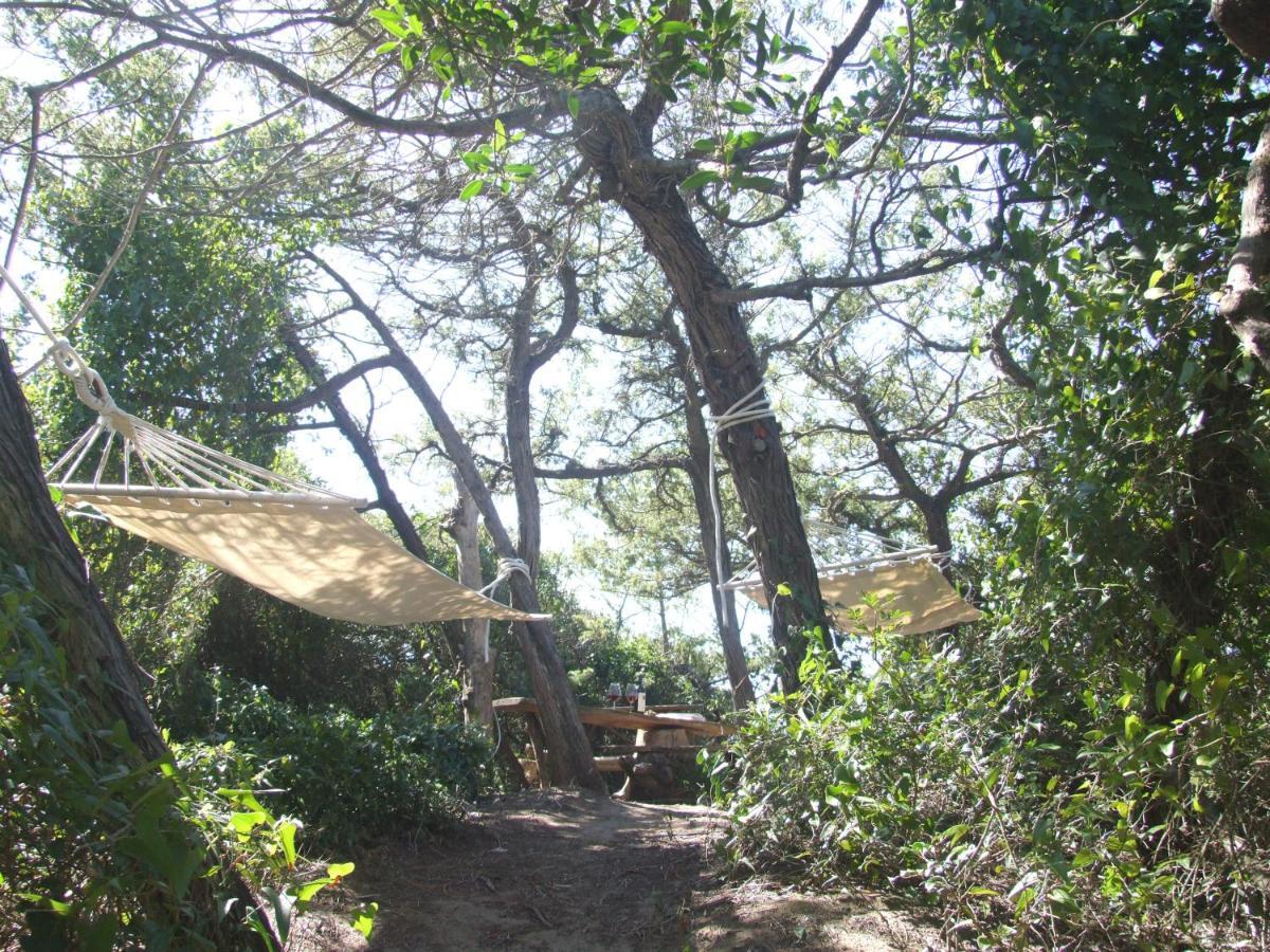 Vacanze Toscane In The Country - Villa Agrifogli Sassetta Ngoại thất bức ảnh